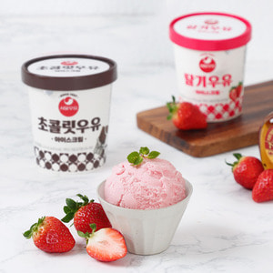 [서울우유] 아이스크림 474ml 5개 (초코3+딸기2)